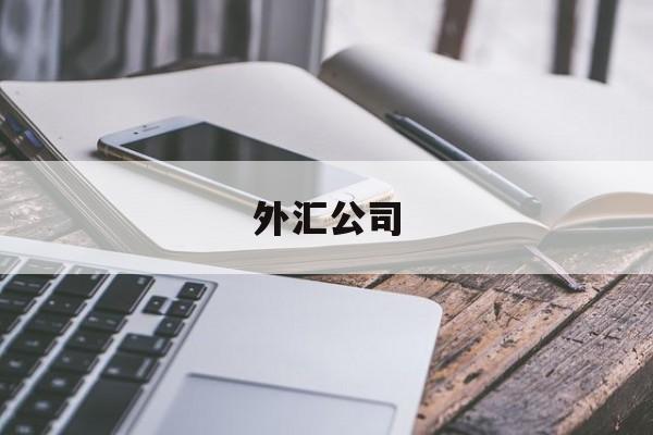 外汇公司(外汇公司是做什么的)